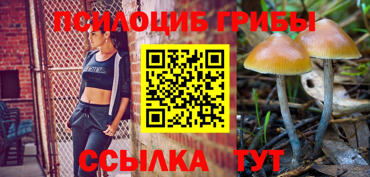 Галлюциногенные грибы мухоморы  Вход с VPN  Чапаевск 